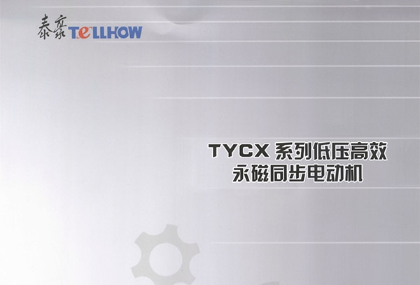 TYCX Synchronous Motor of Permanent Magnet Low Voltage anda High Efficiency