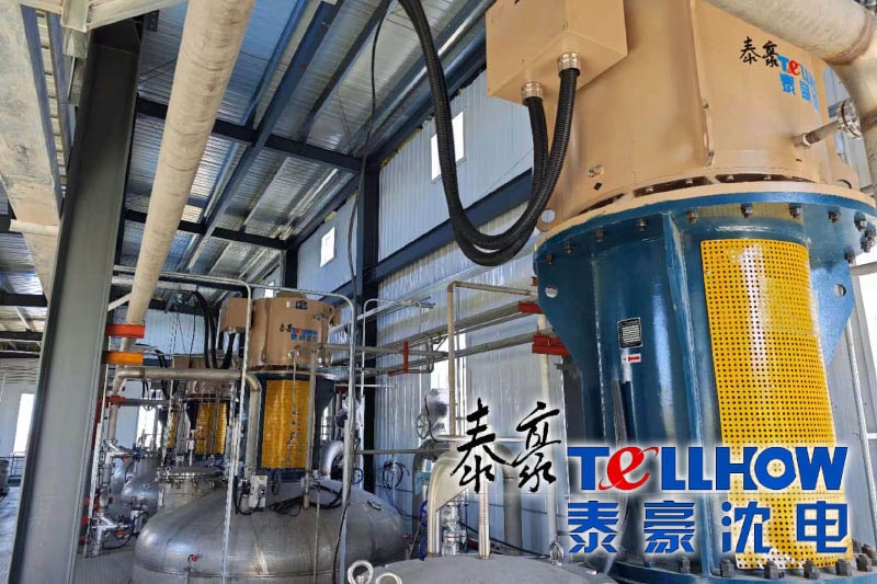 Продукция Tellhow Shenyang Electric Machine Co., Ltd. (Shenyang Jintai Permanent Magnet Technology) помогает крупному биомассовому предприятию в Хоргосе отметить первую годовщину эффективной эксплуатации и заслужить высокую оценку